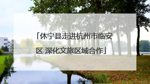 休宁县走进杭州市临安区 深化文旅区域合作